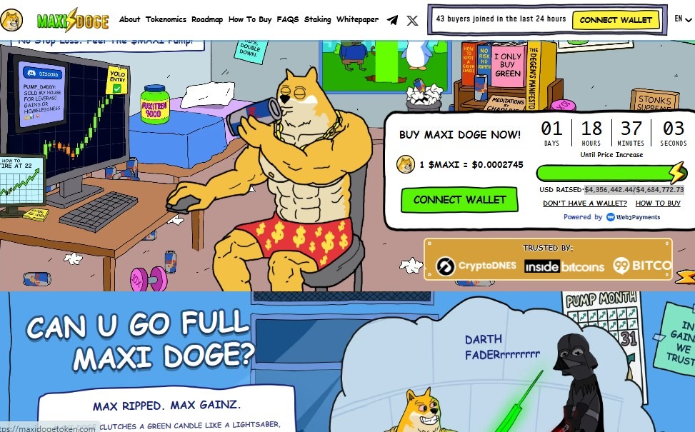 Maxi Doge
