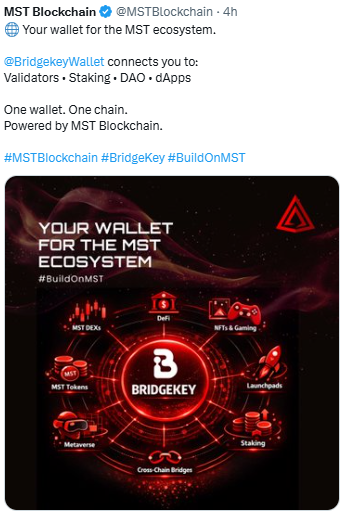 MST Blockchain