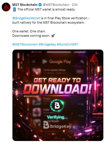 mst protocol bridgekey wallet