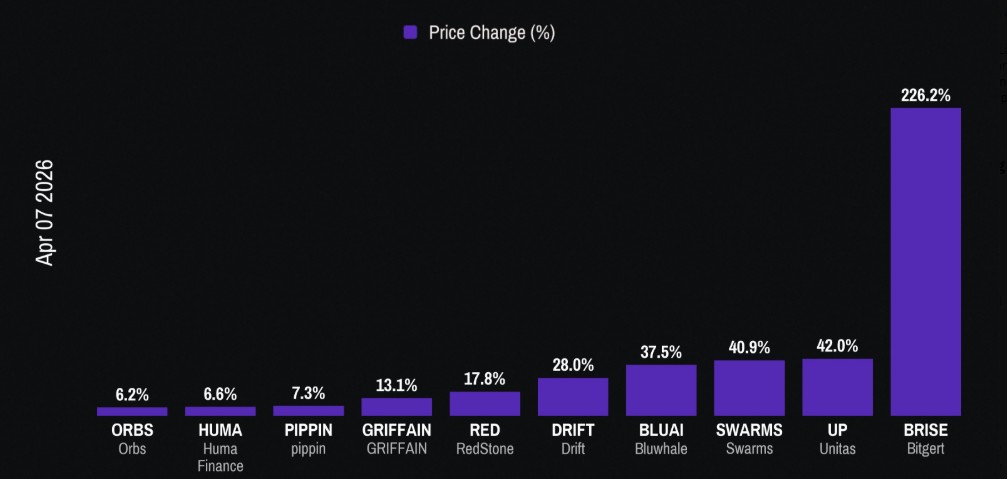 Brise coin rally