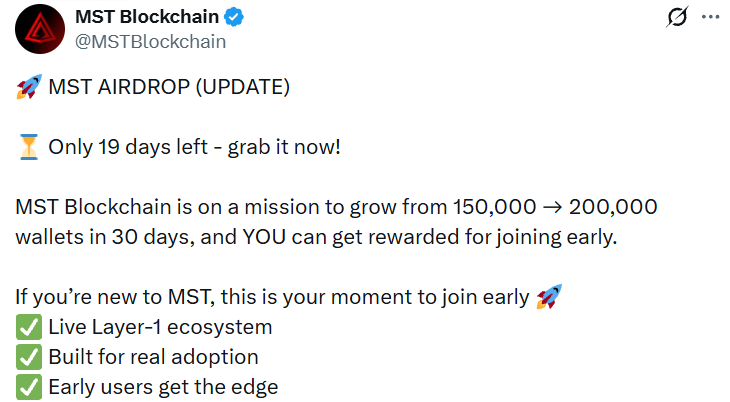 MST Blockchain