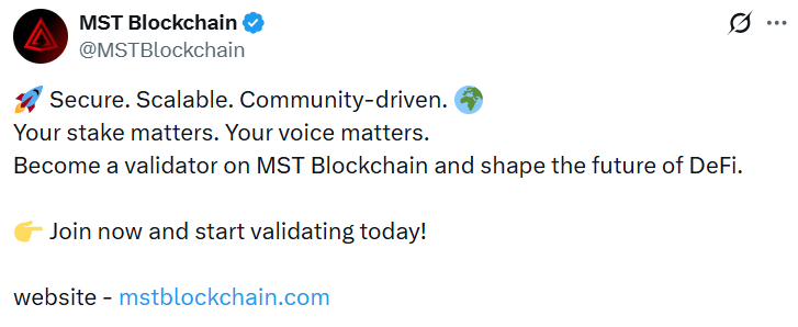 MST Blockchain Validator