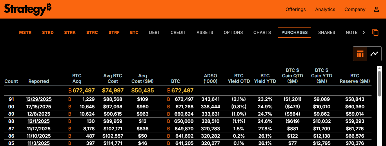 Strategy bitcoin holding