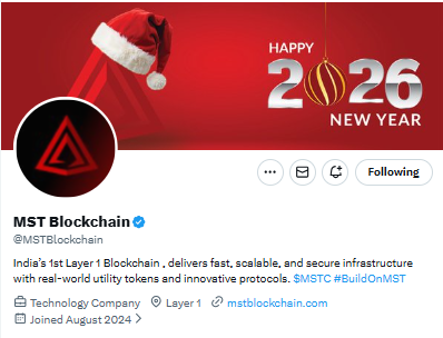 MST Blockchain Future