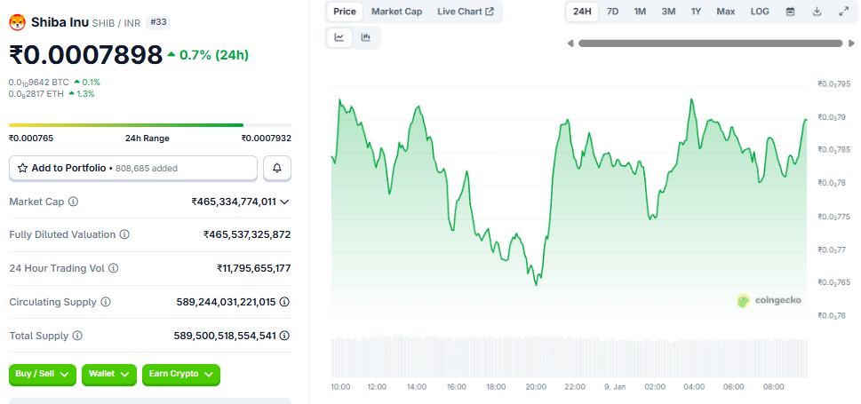 Shba Inu Coin Price Prediction 2026 in INr