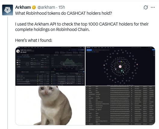 Cashcat whale holding 