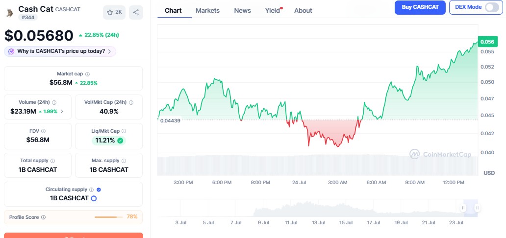 cashcat price today 