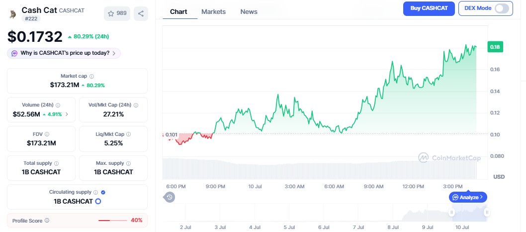 CashCat Price Analysis