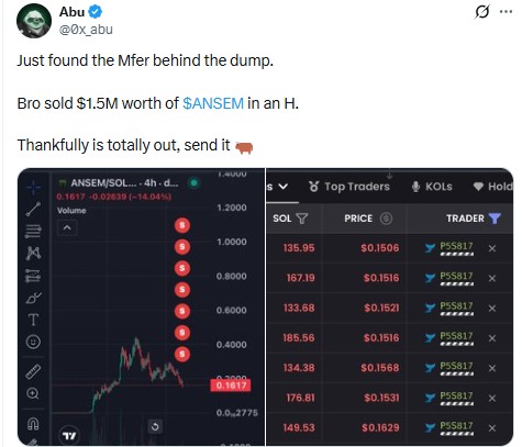 ANSEM Price crash analysis 