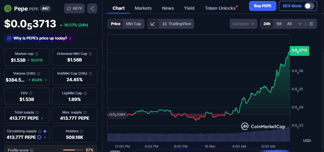Pepe Coin Price Today