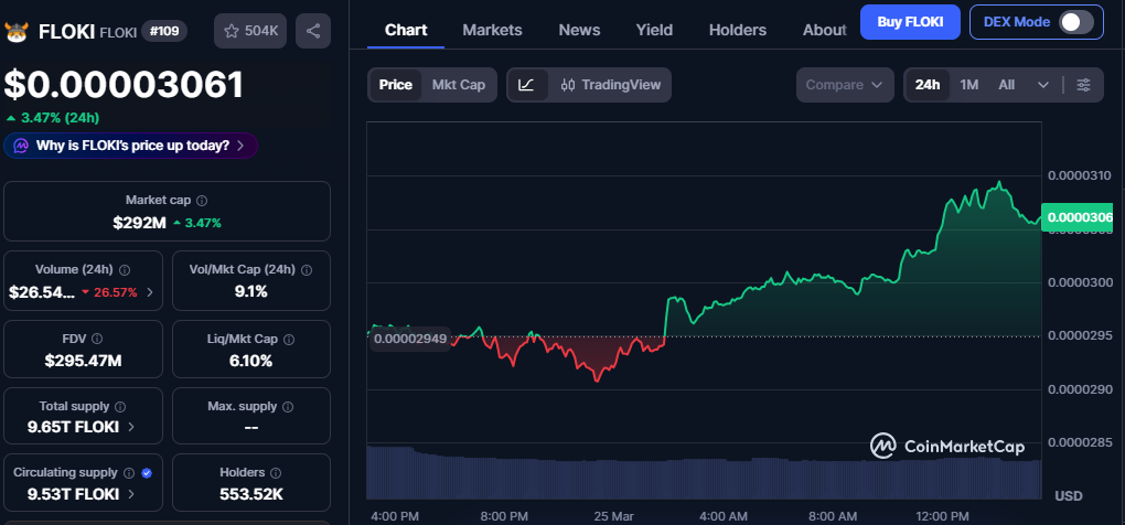 Floki Coin Price Today