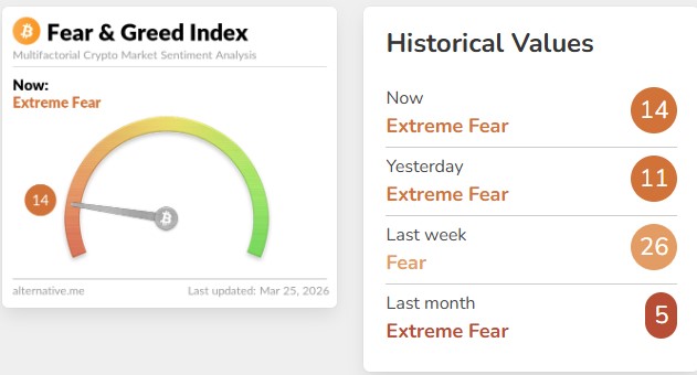Fear & Greed Index