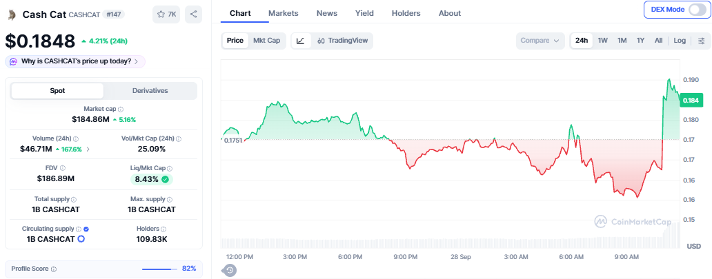 Cashcat Crypto Price