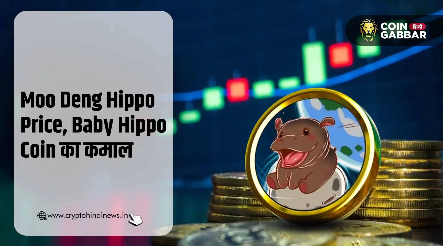 Moo Deng Hippo Price, Baby Hippo Coin ने मचाया धमाल
