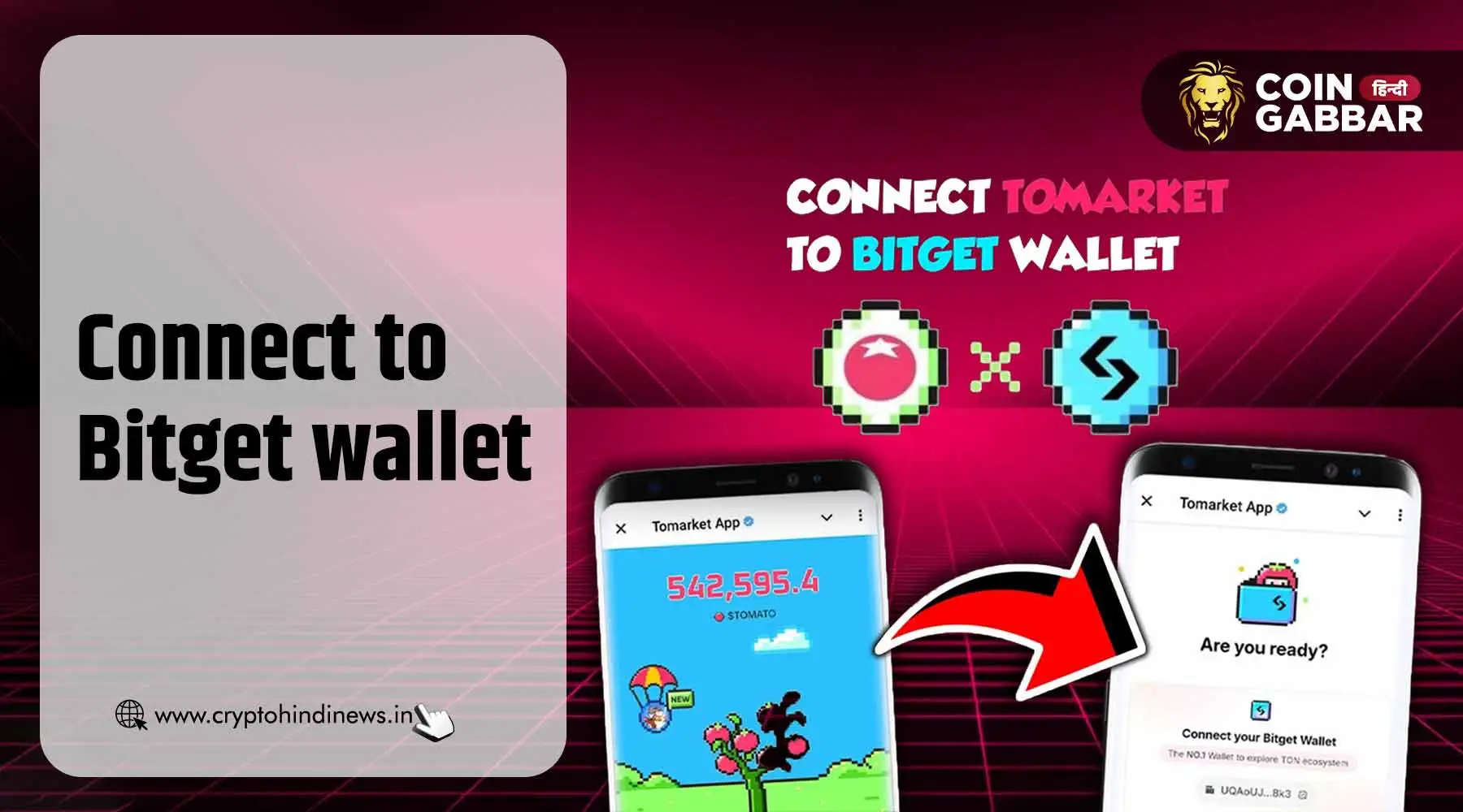 Connect to Bitget wallet Tomarket क्यों कर रहा ट्रेंड