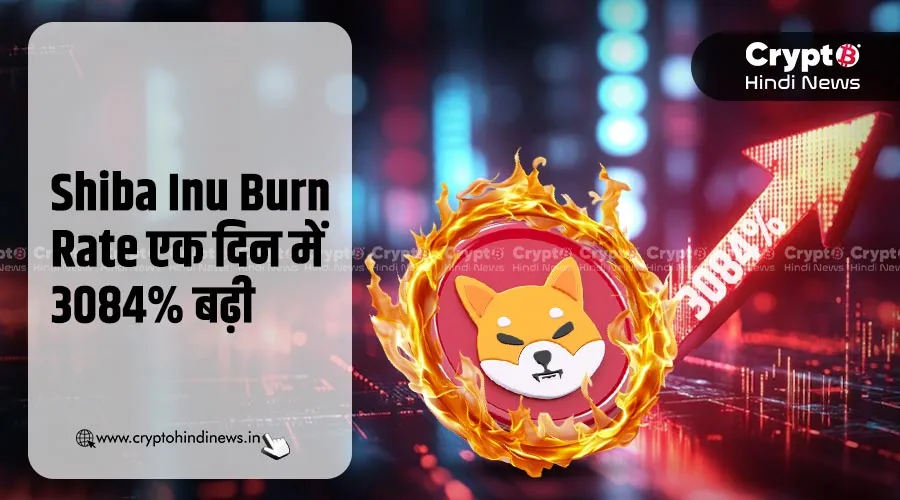 Shiba Inu Burn Rate एक दिन में 3084% बढ़ी, क्या है इसके मायने