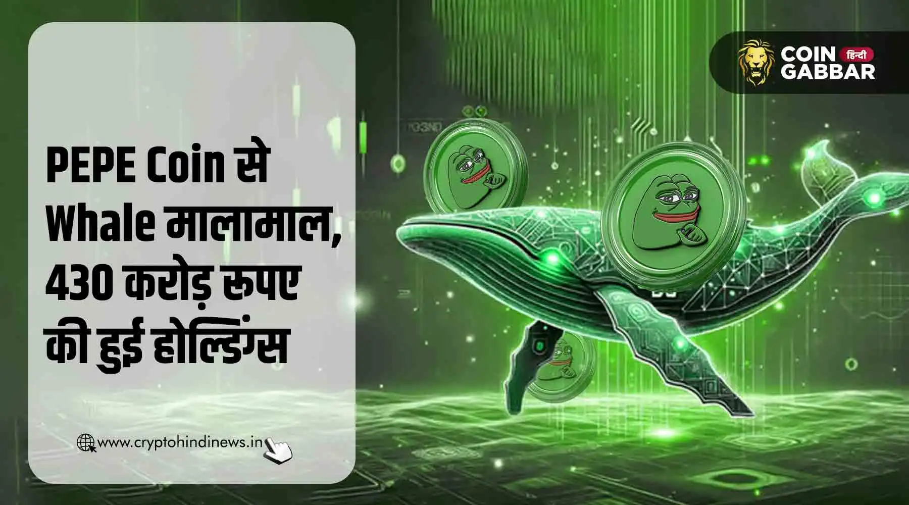 PEPE Coin से निवेशक मालामाल, 2 साल में वैल्यू हुई 430 करोड़