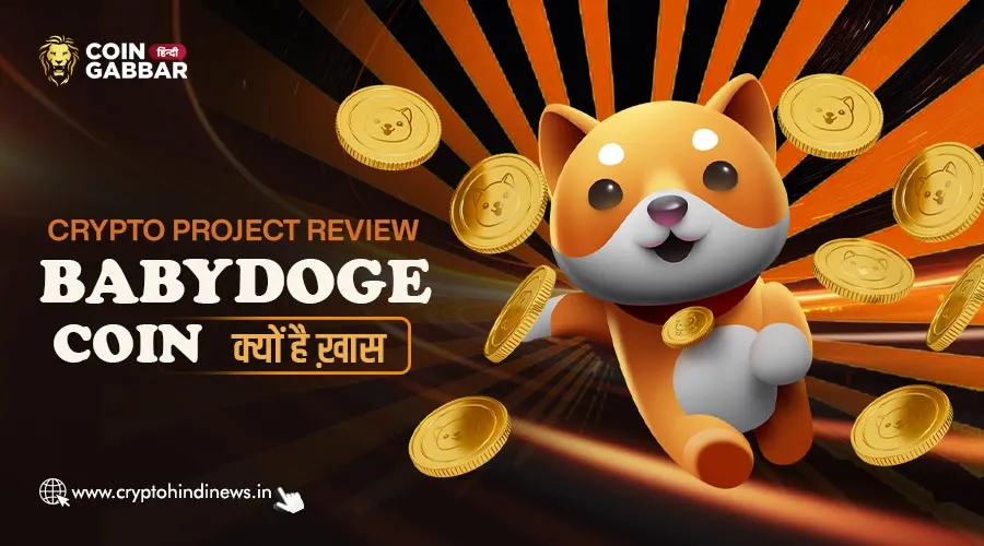 Crypto Project Review, BabyDoge Coin क्यों है इतना यूनिक