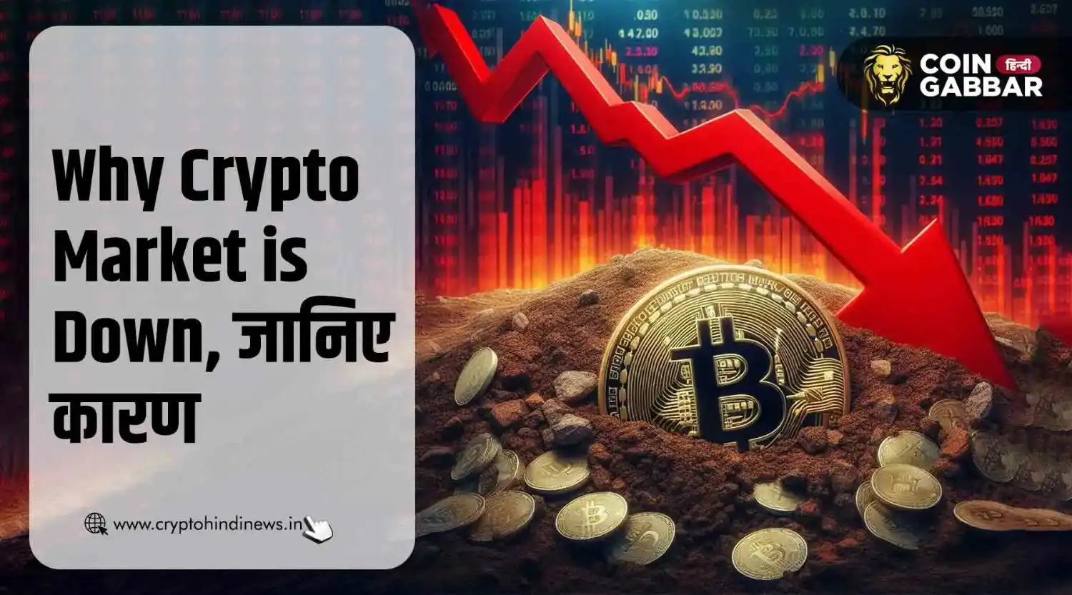 Why Crypto Market is Down, जानिए गिरावट के मुख्य कारण