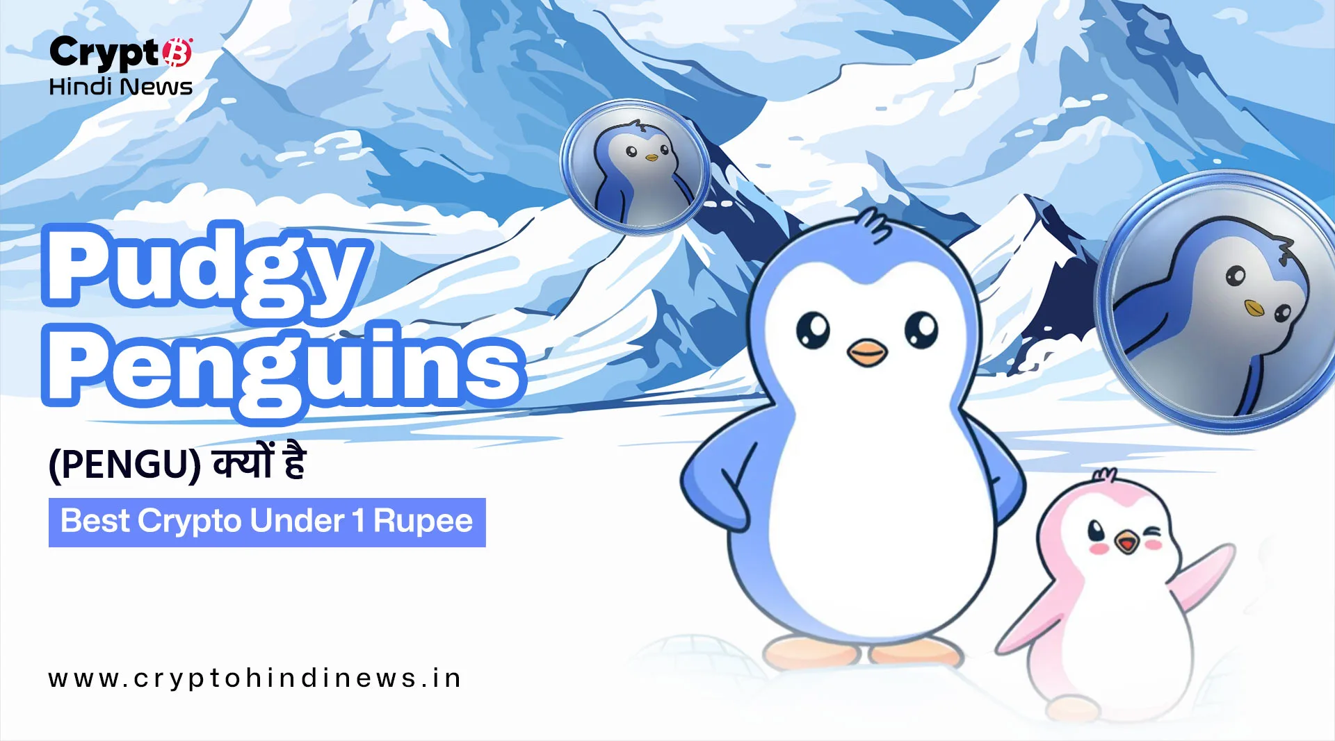 Crypto Market Update