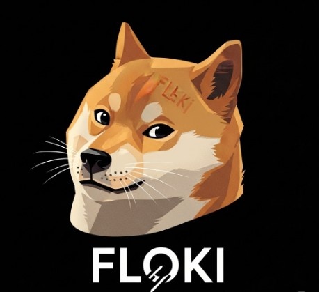 Floki Inu क्या है, FLOKI के बारे में विस्तार से जानिए