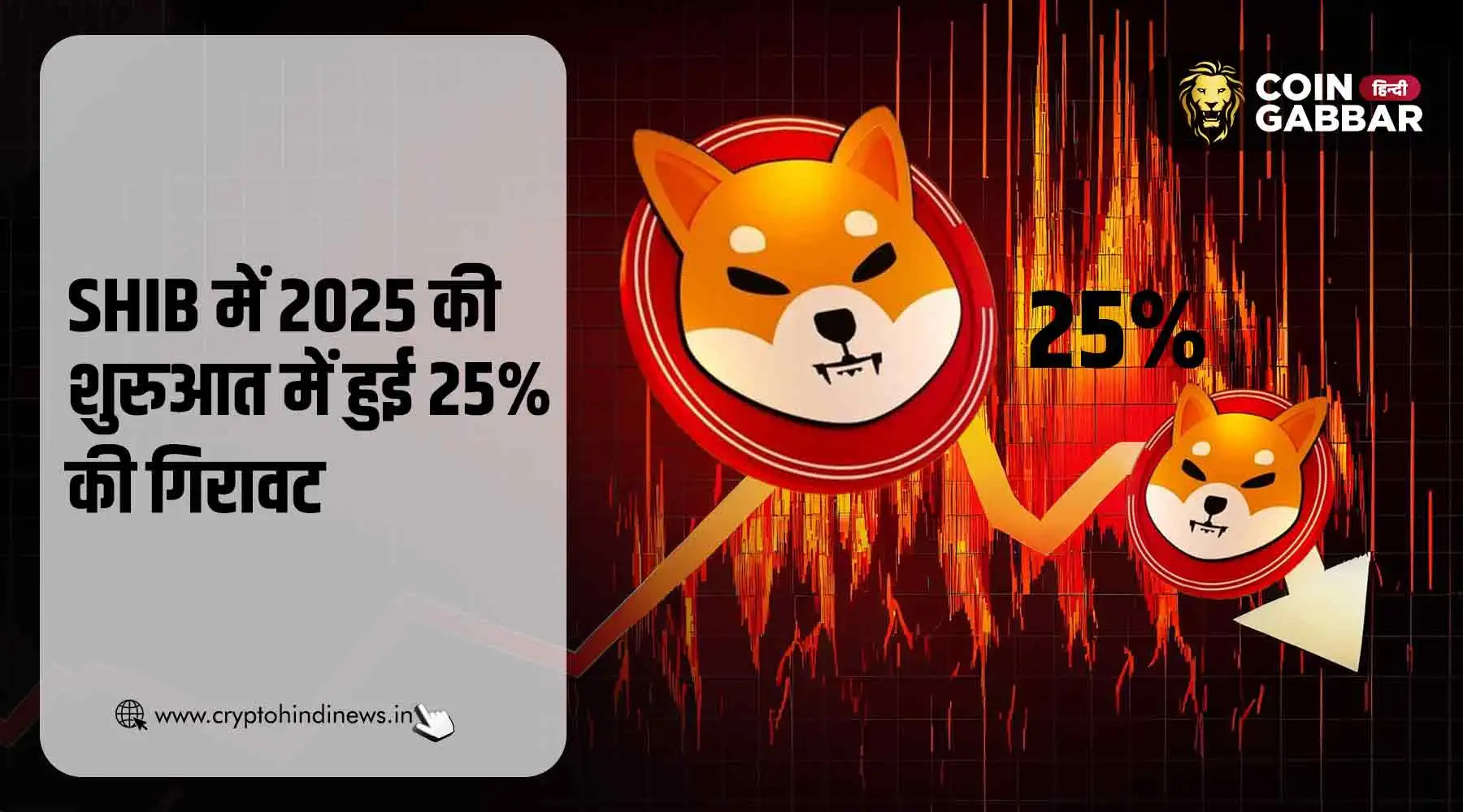 SHIB Price 2025 की शुरुआत में 25% गिरा, पर अब भी है संभावनाए
