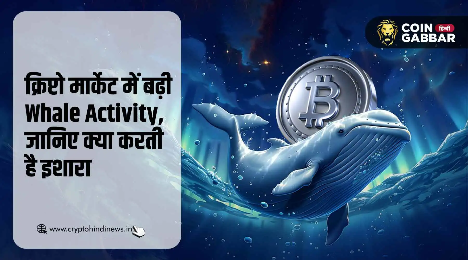 क्रिप्टो मार्केट में बढ़ी Whale Activity, क्या देती है संकेत