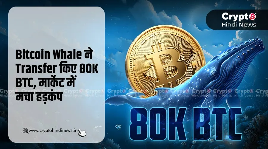 Bitcoin Whale ने Transfer किए 80K BTC, मार्केट में मचा हड़कंप