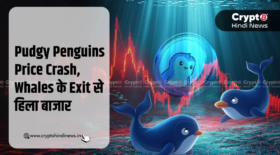 Pudgy Penguins Price Crash, Whales के Exit से हिला बाजार