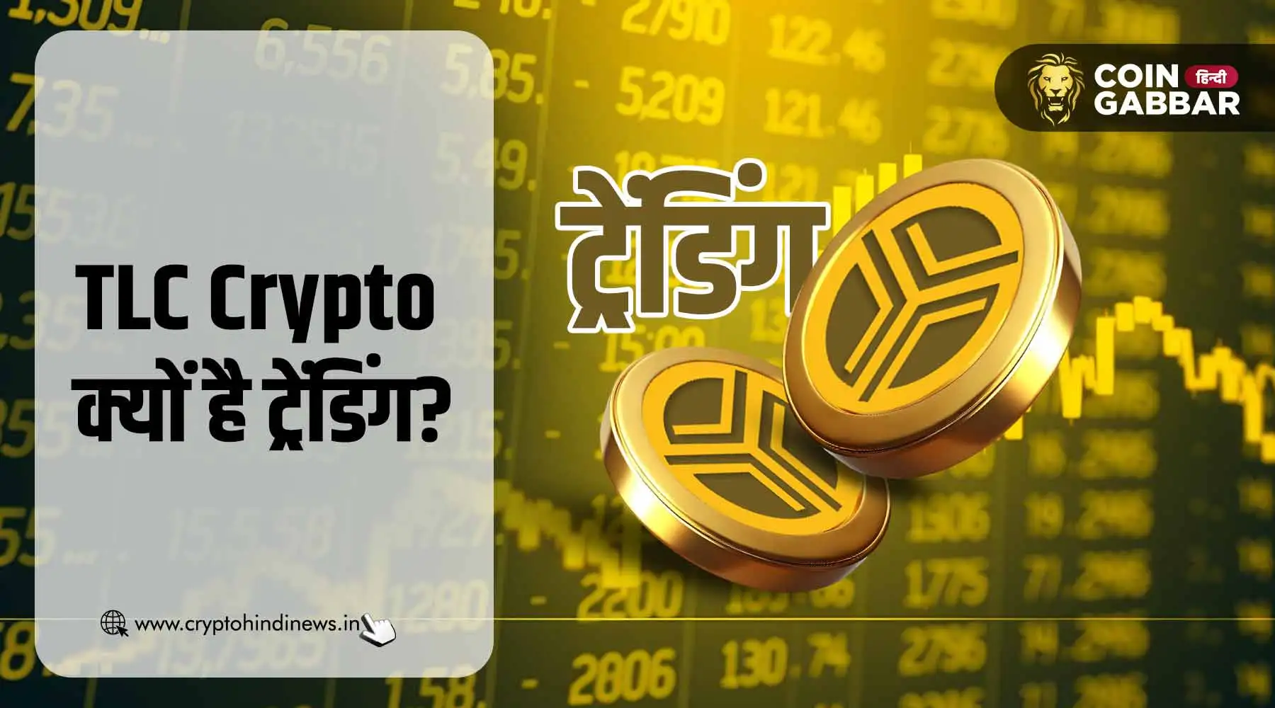 TLC Crypto क्यों है ट्रेंडिंग, जानिए क्या है कारण