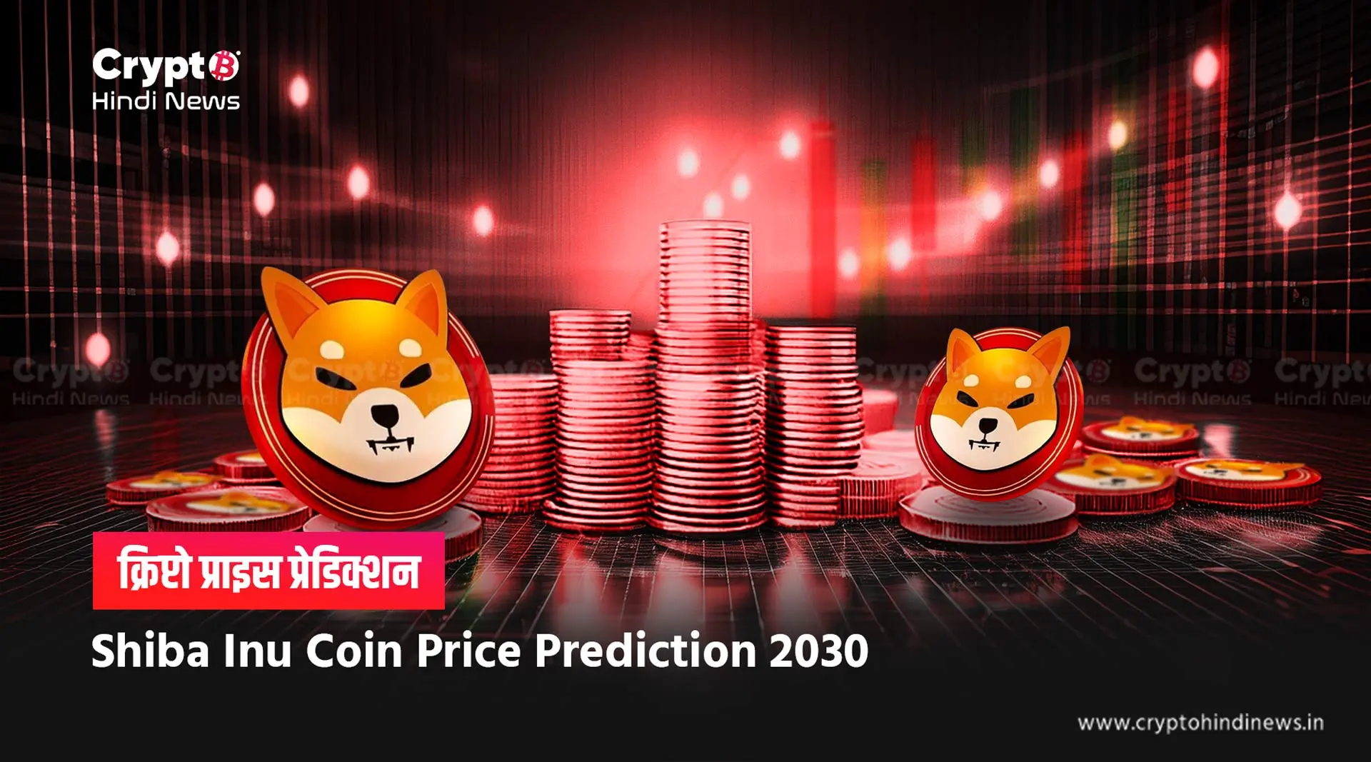 Shiba Inu Coin Price Prediction 2030 in INR