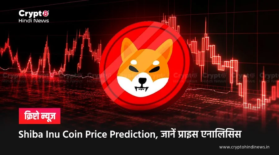 Shiba Inu Coin Price Prediction