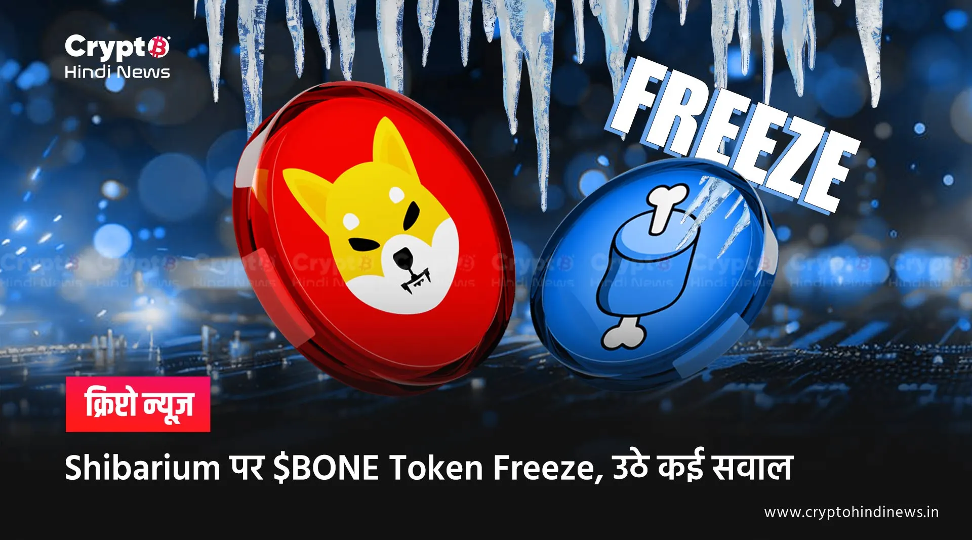 BONE Token Freeze