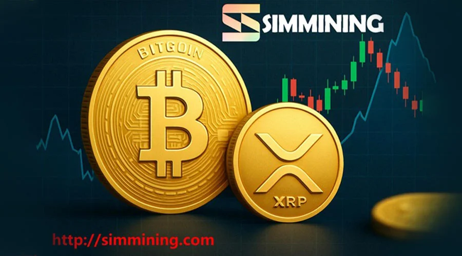 BTC और XRP इन्वेस्टर्स SIM Mining क्लाउड माइनिंग से हर महीने कमा सकते हैं $10,000 से ज्यादा, एक यूज़र की कमाई $25,000 से भी ज़्यादा!