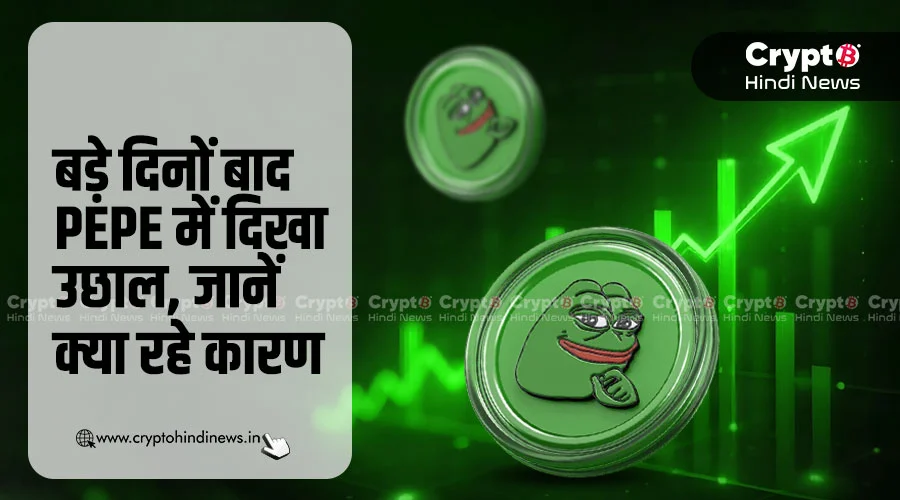PEPE में उछाल, Trump की रहस्यमयी तस्वीर का जानें सच