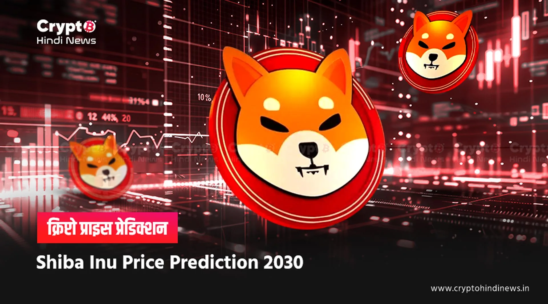 Shiba Inu Coin Price Prediction 2030 in INR