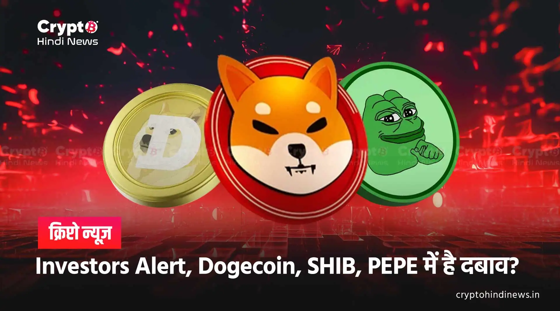  Memecoin News Doge Shib Pepe Volatility Market Trend
