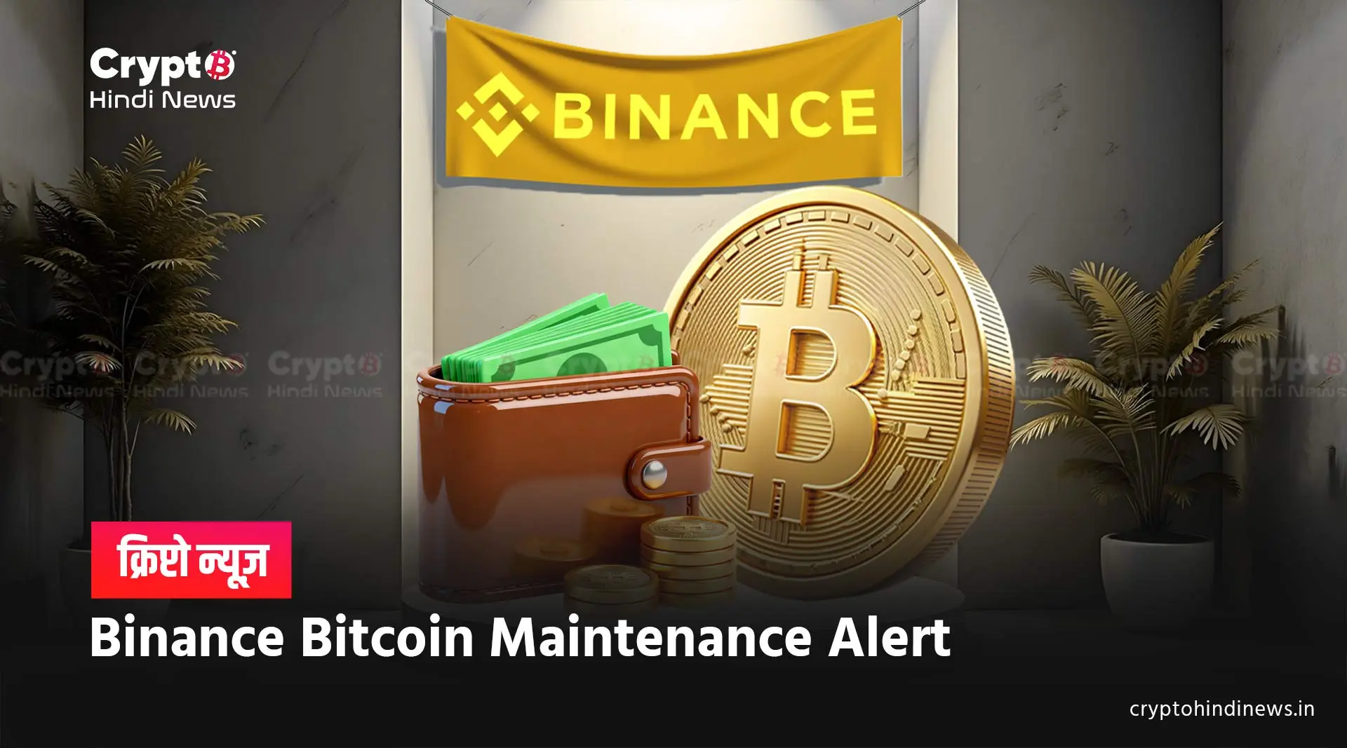 Binance पर Bitcoin मेंटेनेंस