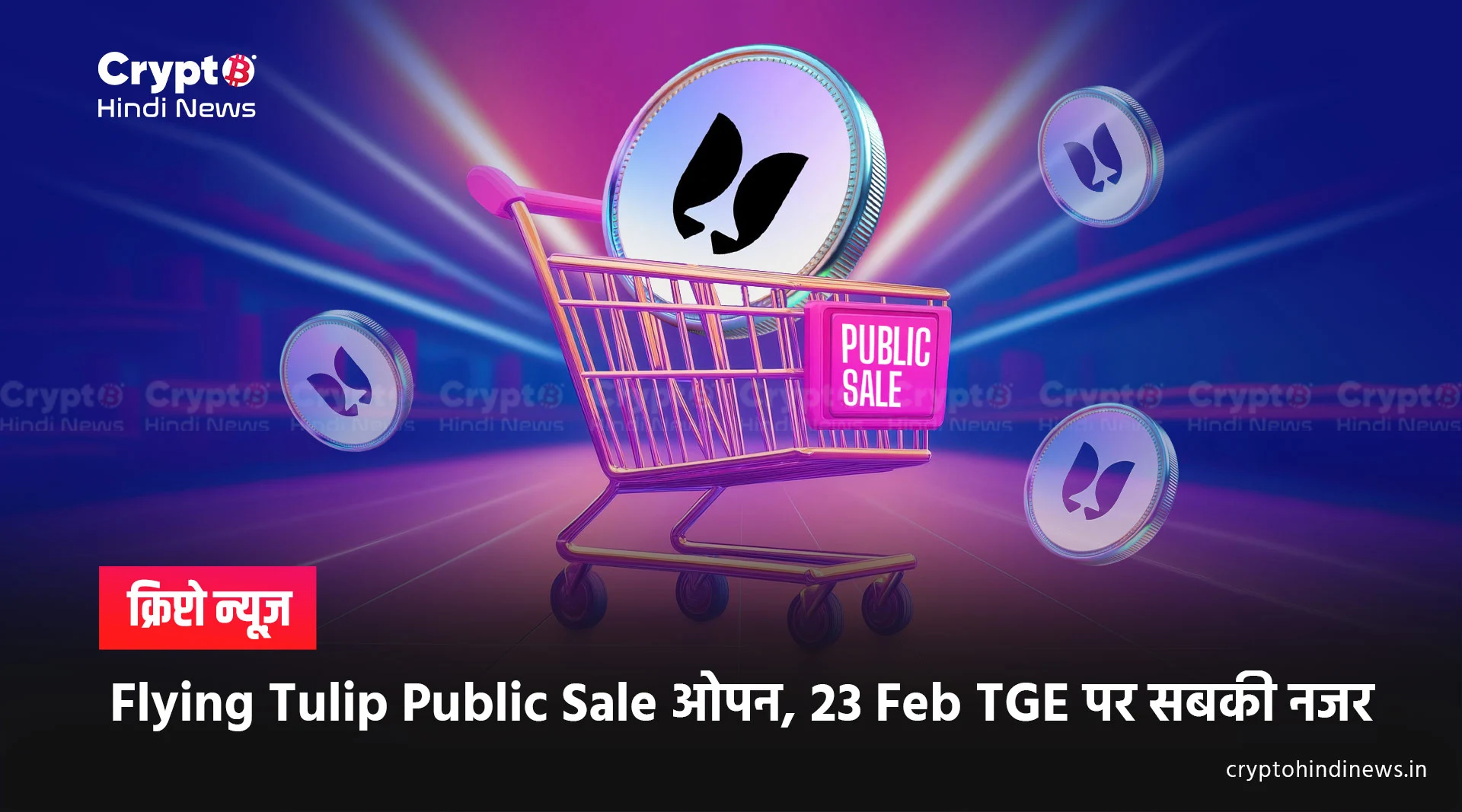 Crypto Market Update