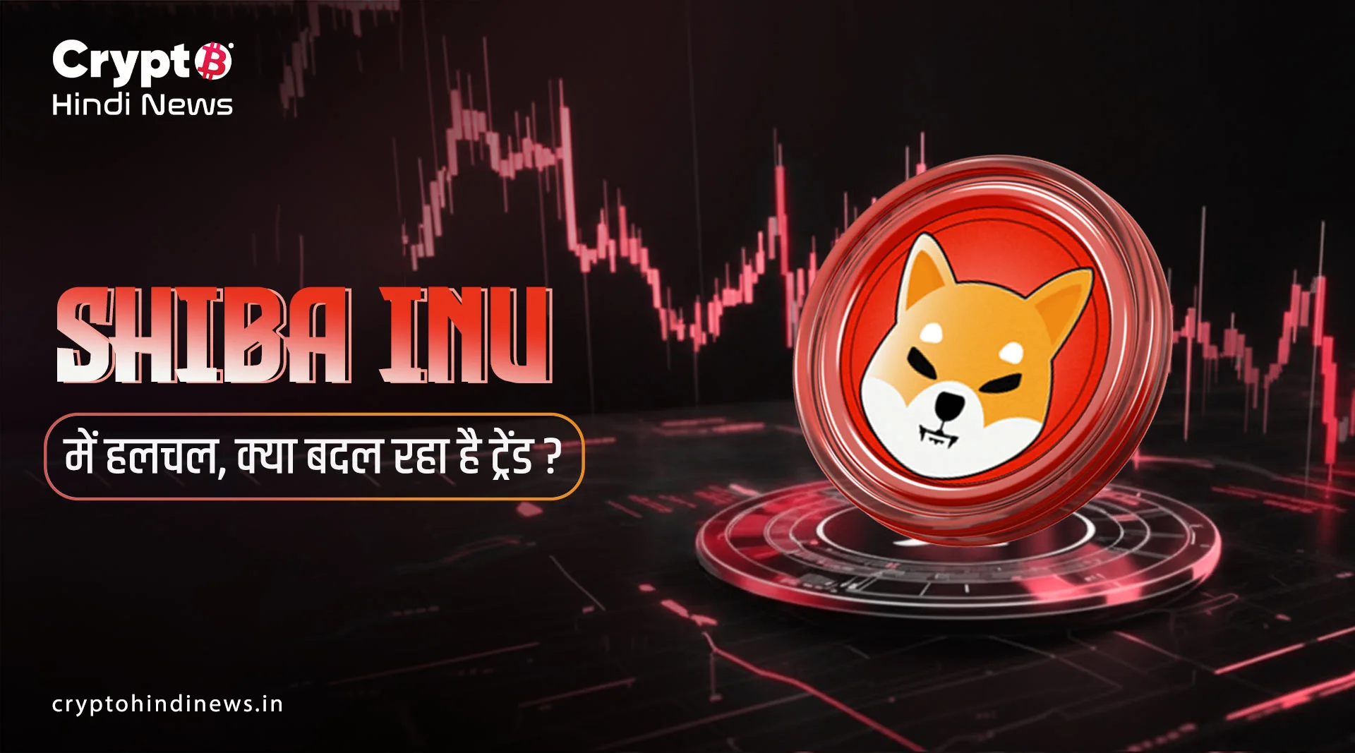 Crypto Market Update