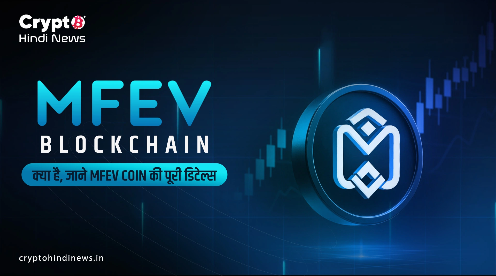 Crypto Market Update