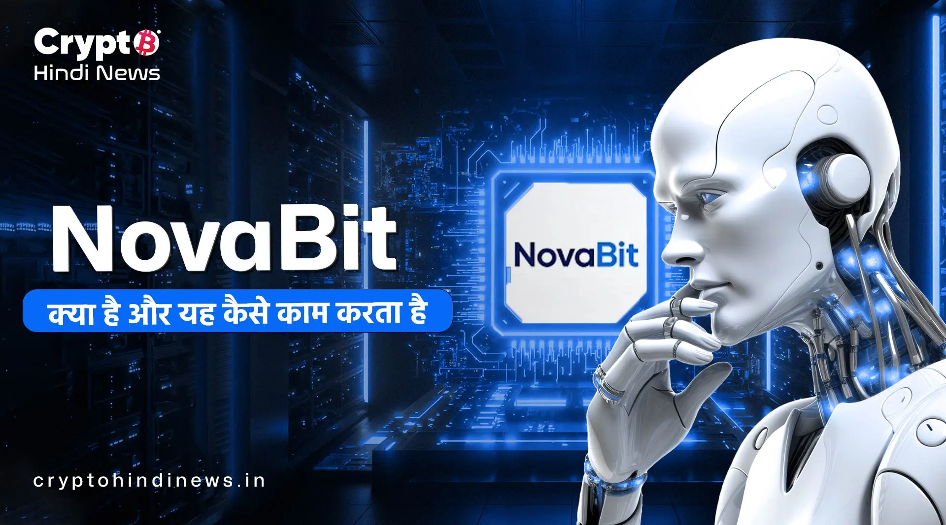 Crypto Market Update