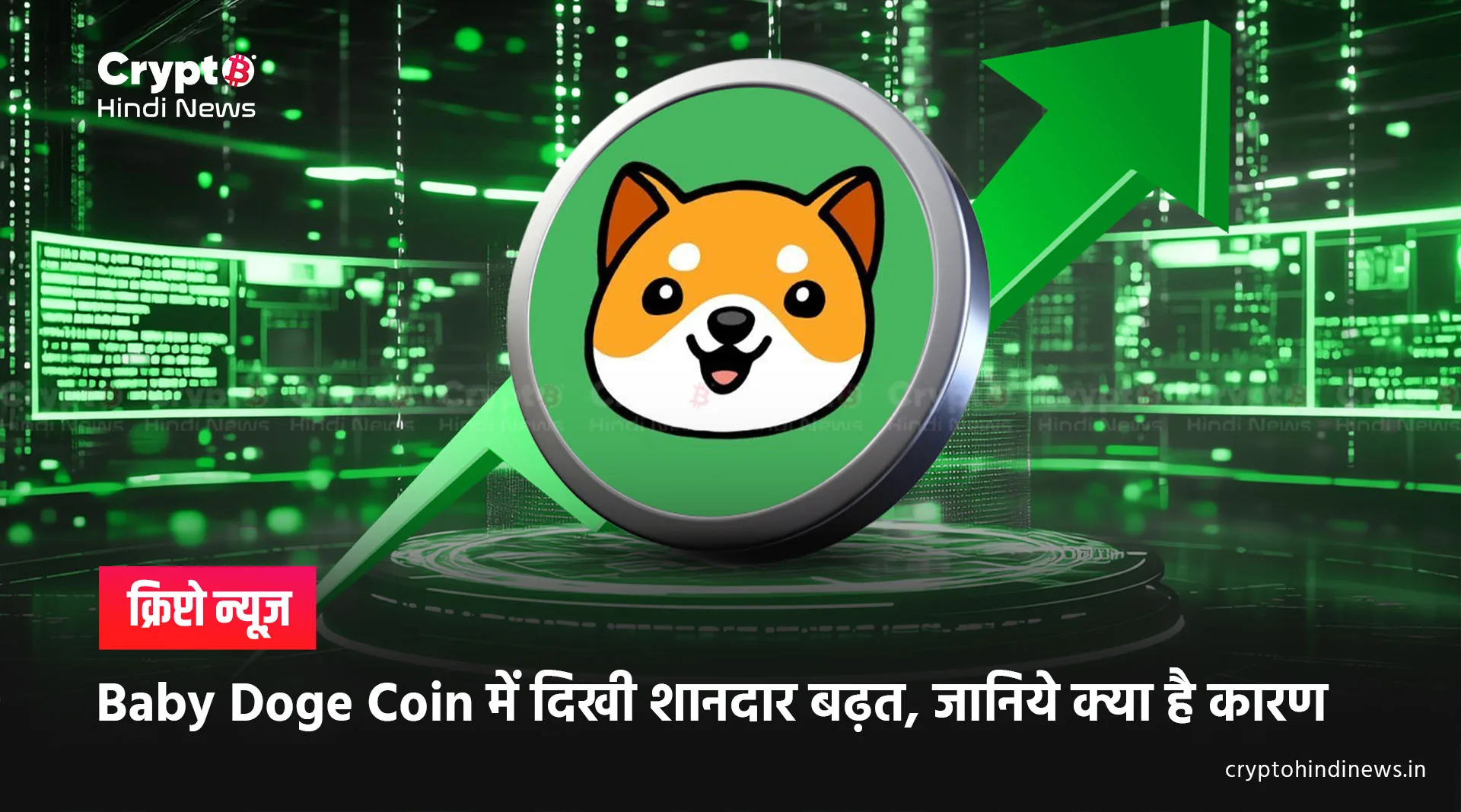 Baby Doge Coin Price up today 