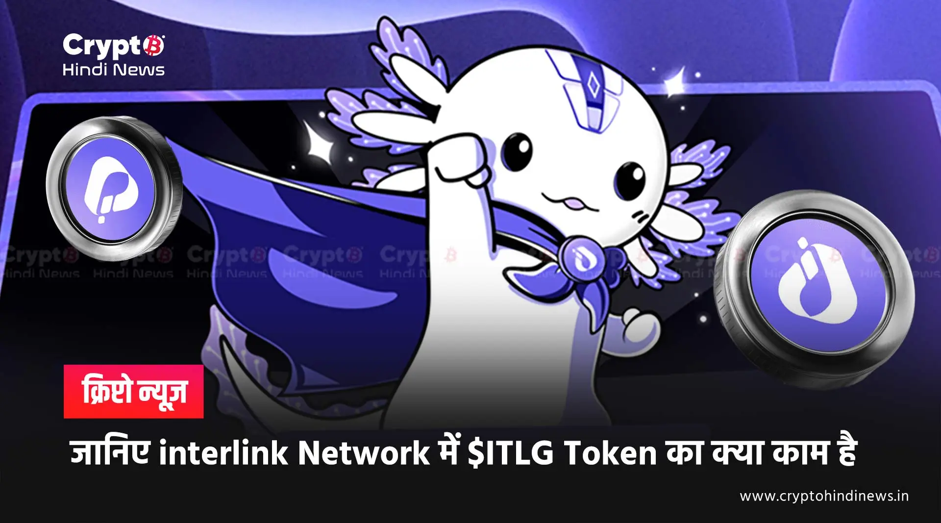 Crypto Market Update