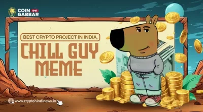 Chill Guy Meme Coin India Banner Visual Crypto Art SOL