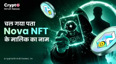 Nova NFT Owner पहचान जाँच के चरणों और नतीजों का चार्ट