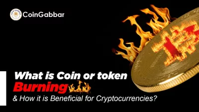 Coin Burning Kya Hai: टोकन जलाने की प्रक्रिया समझें यहां