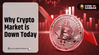 Why Crypto Market is Down Today, US Gov के फैसले से दबाव