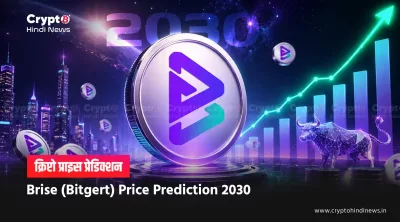 Brise Price Prediction 2030 inr