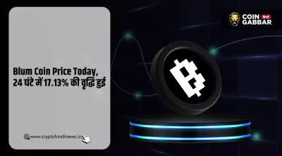 Blum Coin Price Today, प्री मार्केटिंग प्राइस में 17.13% की हुई वृद्धि